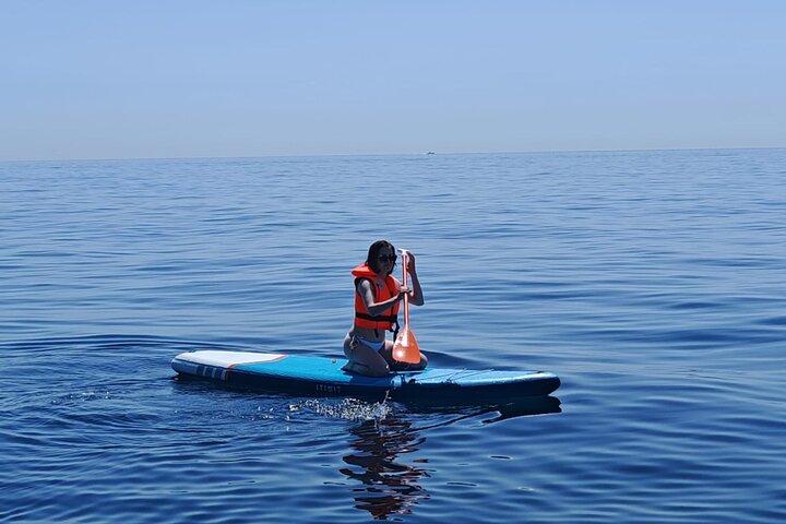 FLOKY 8m 10 pax - Excursión Privada con Patrón. Puerto Banús