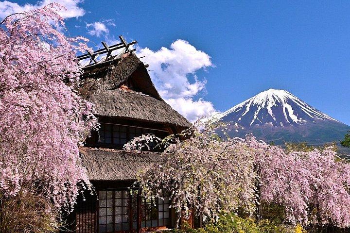 富士山の素晴らしい自然を体験 - プライベート ツアー