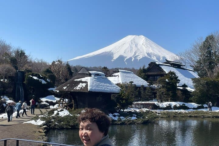 Customisable Mt.Fuji Private Day Trip, English Speaking Driver