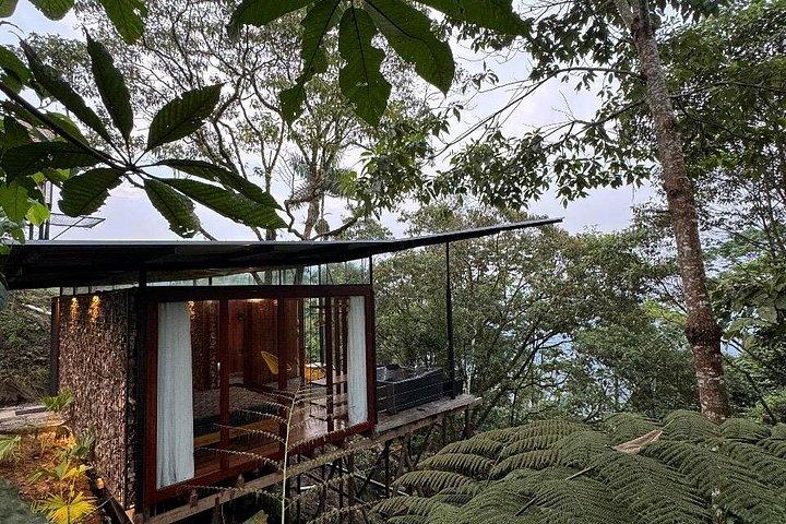 3 Day Amazon Jungle Experience All Inclusive from Quito