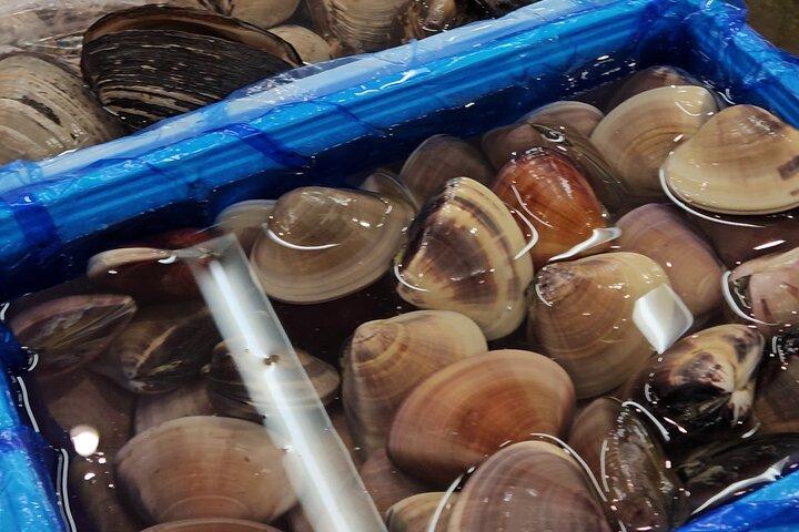 豊洲魚市場見学＆豪華寿司ランチの舞台裏