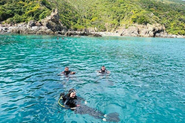 Dykning i Nha Trang Udforsk fantastiske koralrev