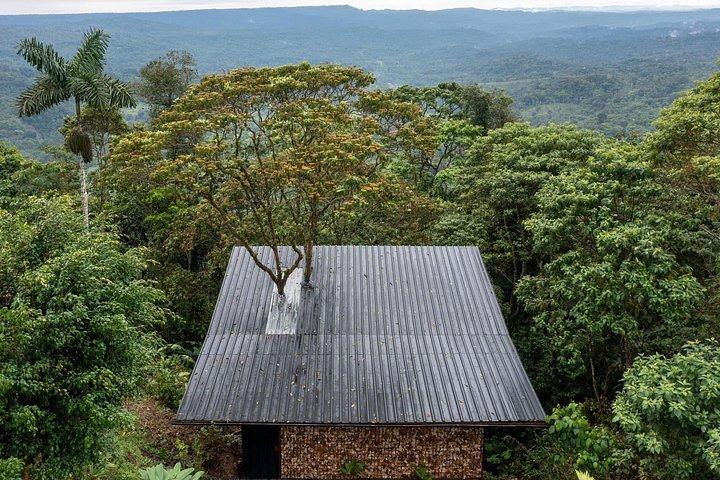 3 Day Amazon Jungle Experience All Inclusive from Quito