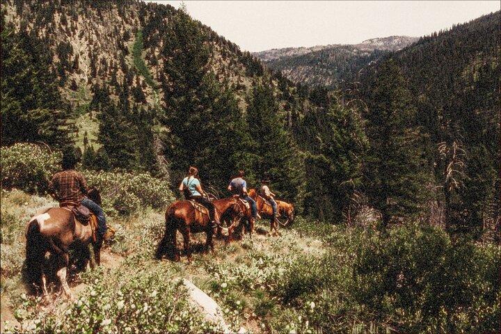 Paseos a caballo guiados