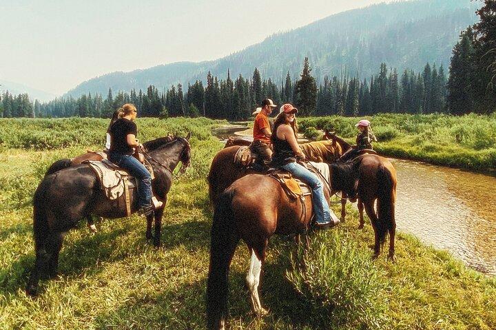 Paseos a caballo guiados