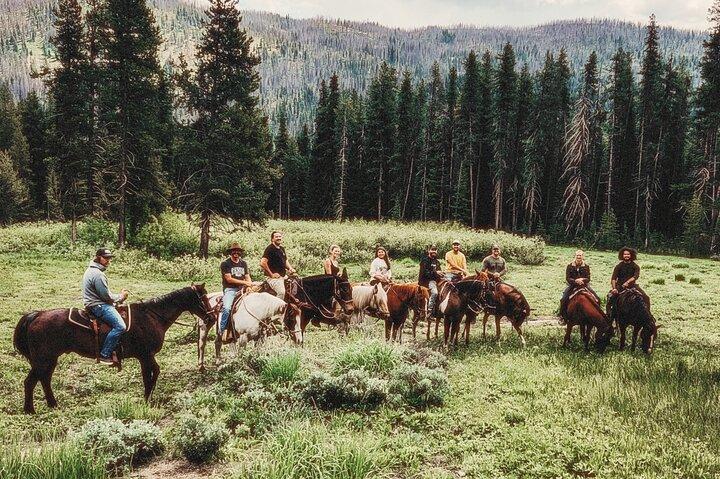 Paseos a caballo guiados