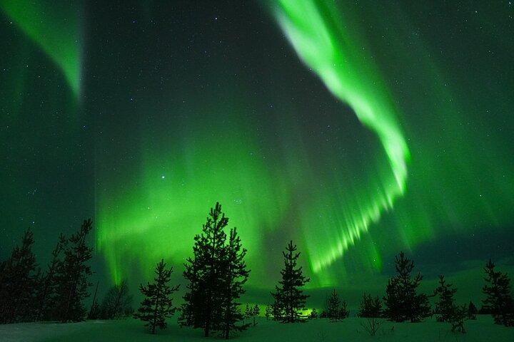 Rovaniemi: Private Aurora Tour with Guaranteed Sightings