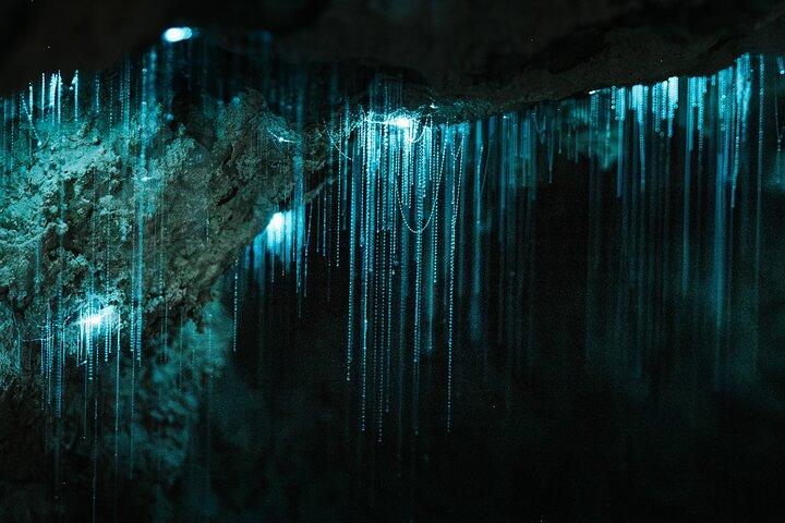 Milky Way Glowworm Cave Tour
