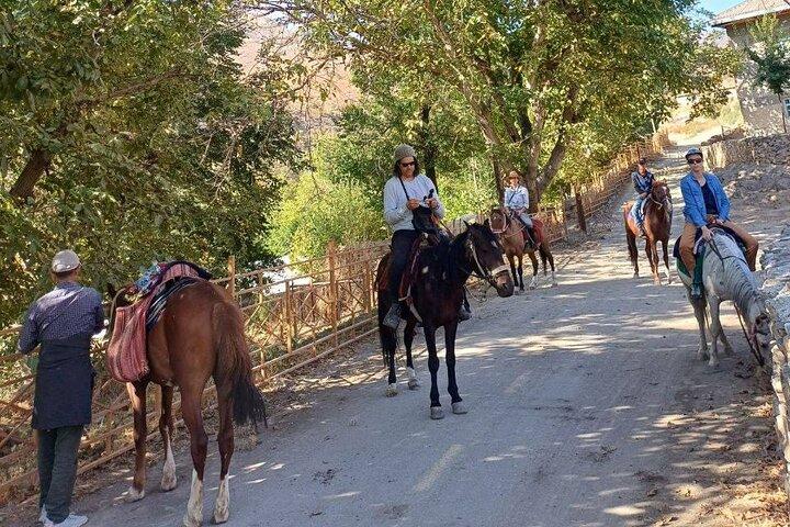 Nuratau Village Home Stay e passeios turísticos a partir de Bukhara
