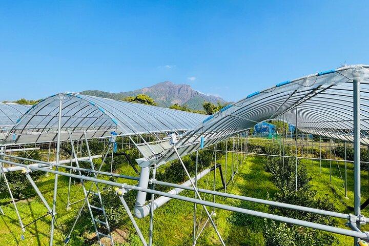 Sakurajima Century Lava Climb Journey con bicicleta eléctrica
