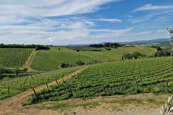Privé wijntour in Toscane Florence Limo Service Engelse chauffeur