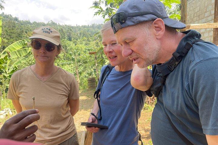 Biologische koffietour en lokale eetervaring in Arusha