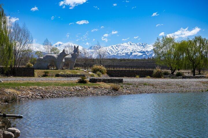 Wine Tour in Huentala Wines Departing from Ciudad Mendoza