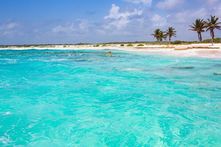 Snorkla i Paradise Cozumel El Cielito Palancar Reef Colombia