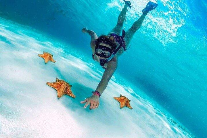 Snorkla i Paradise Cozumel El Cielito Palancar Reef Colombia