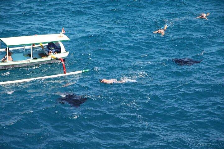 Nusa Penida Sharing Schnorcheln mit West Tour