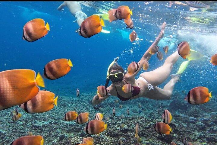 Nusa Penida Sharing Schnorcheln mit West Tour