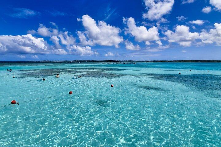 4h Antigua Da non perdere: Stingray City & Long Bay Beach