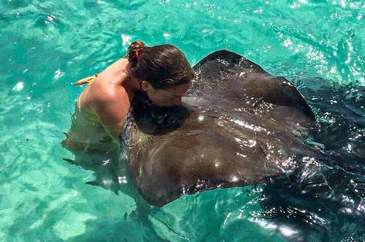 Visiter Antigua : Stingrays, Devils Bridge et Long Bay Beach