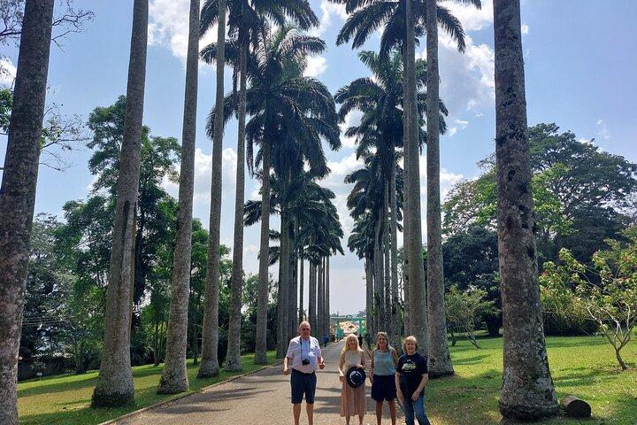 Jardines Botánicos de Aburi y Tour panorámico