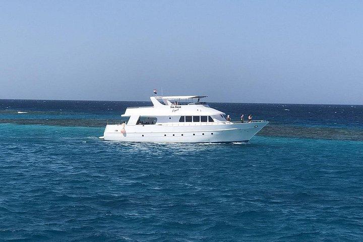 Buceo de día completo en Hurghada