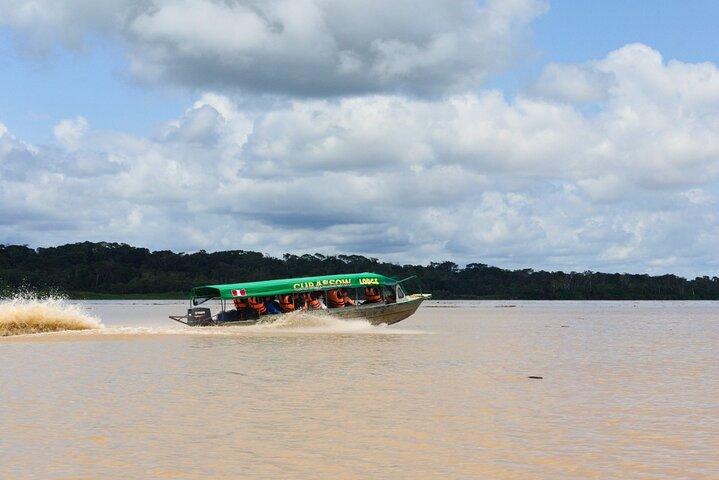 Excursion de 6 jours dans la forêt amazonienne au Curassow Amazon Lodge