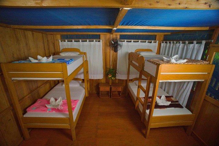 5-Day Primary Rainforest Adventure at Curassow Amazon Lodge