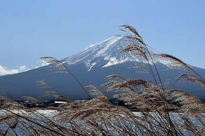 リラックス富士湖畔エスケープ： 河口湖&山中湖