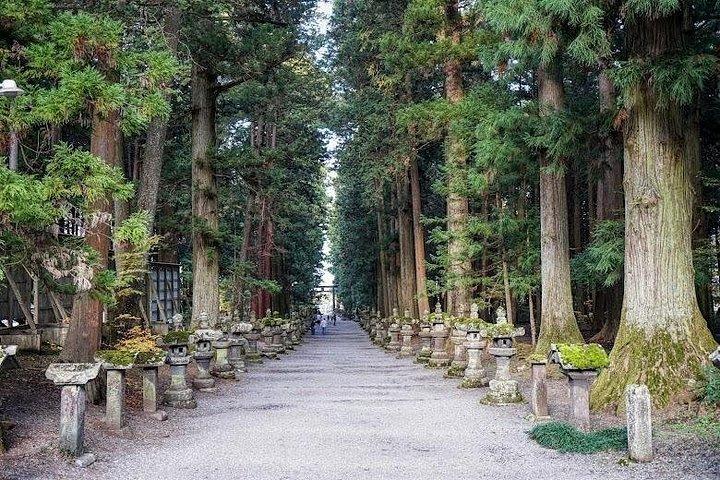 リラックス富士湖畔エスケープ： 河口湖&山中湖