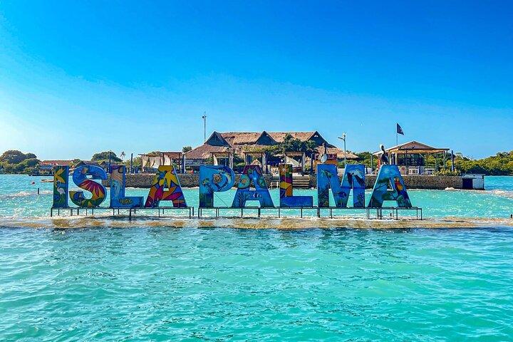Full Day Private Beach Club Palma Island and Full Food