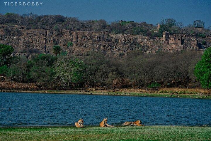 Ranthambore-Nationalpark