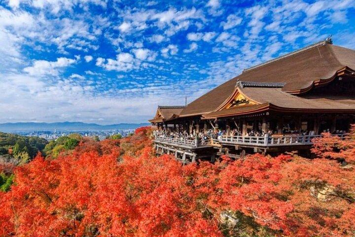 京都・宇治日帰りツアー：金閣寺・清水・抹茶通り