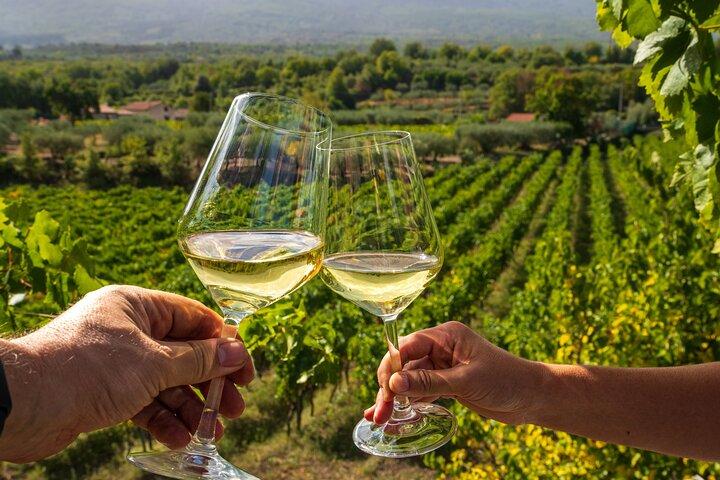 Tour privato di un giorno sulle strade del vino: Corinto - Antica Nemea e degustazione di vini
