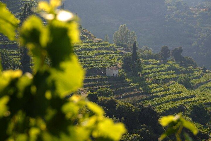 Manolates Hiking with Bus Transfer included