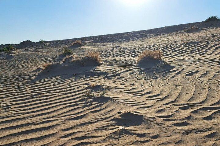 Khiva Dagtrip naar 3 oude forten