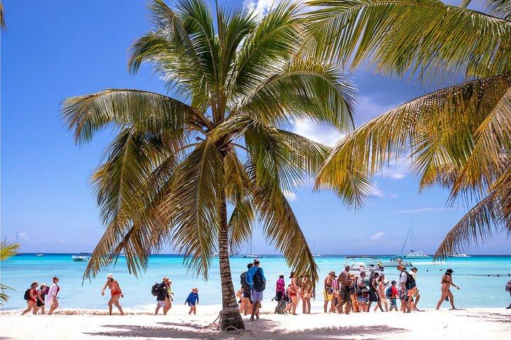 Isla Saona Privé-catamaranervaring van een hele dag