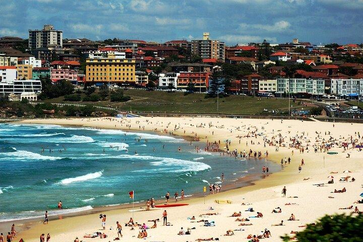 Blue Mountains | Tour privato di koala, canguri e Bondi Beach