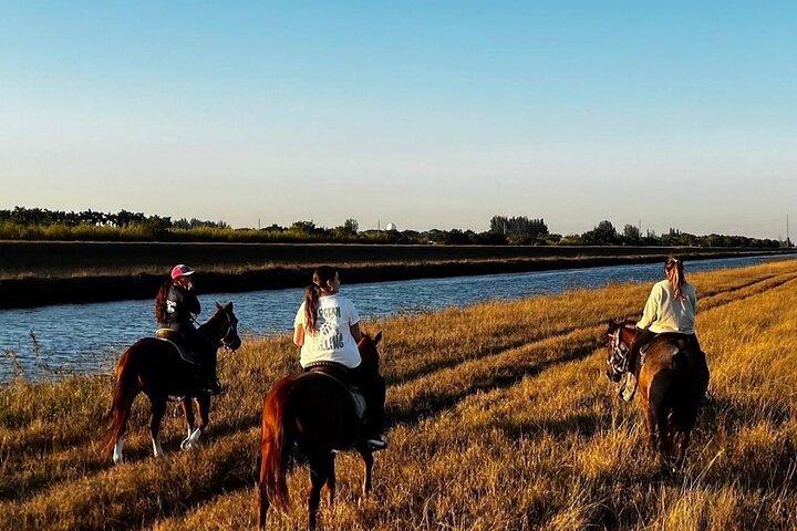 Équitation à Miami