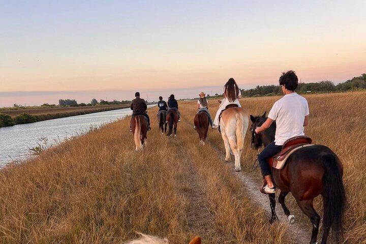 Équitation à Miami