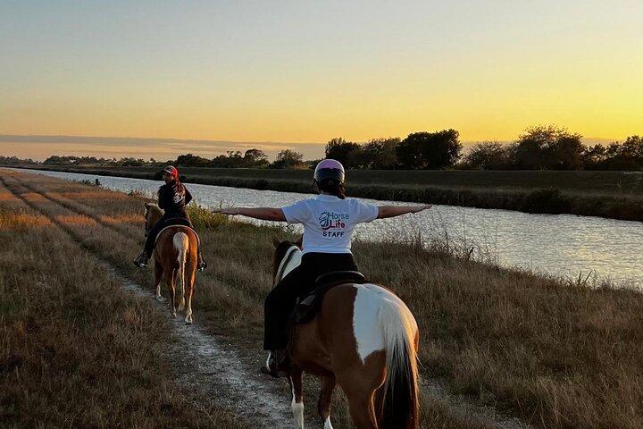 Équitation à Miami
