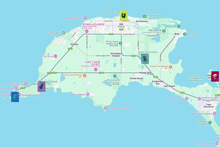 メルボルンフィリップ島プライベートツアー：ペンギンパレード＆ワイルドライフ