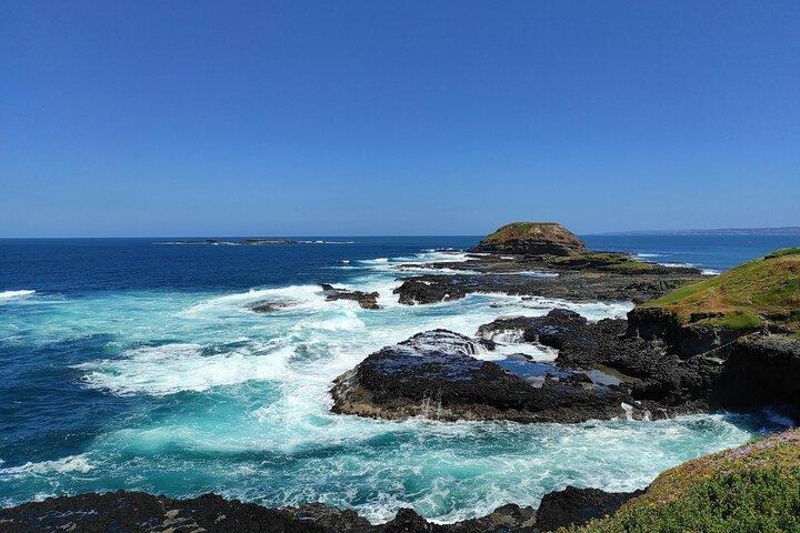 メルボルンフィリップ島プライベートツアー：ペンギンパレード＆ワイルドライフ