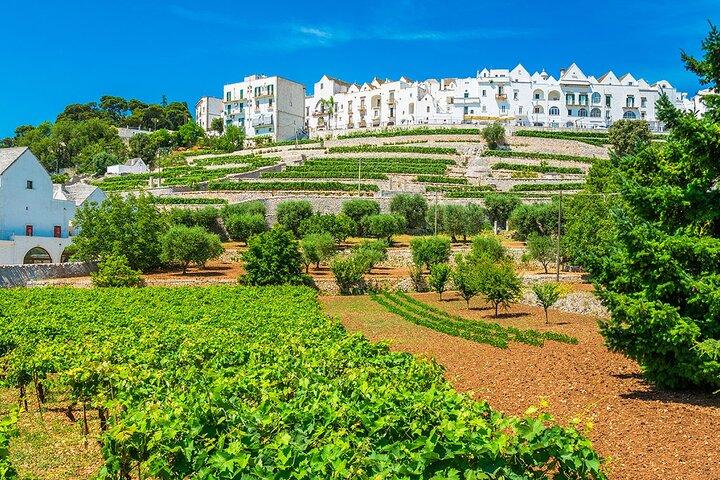 Em uma Vespa entre os trulli: Alberobello, Locorotondo e Floresta Fasano