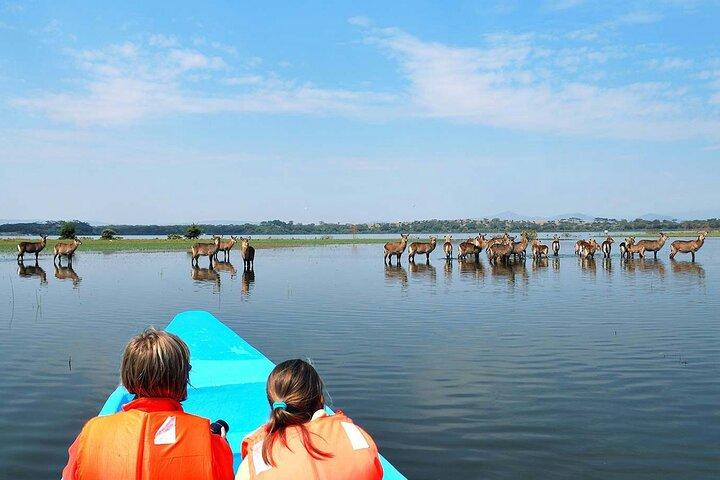 Crescent Island Walking Safari & Naivasha Bootsfahrt