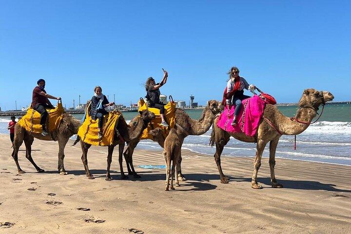 Tour privato di un giorno a Casablanca con giro in cammello a Mohammedia