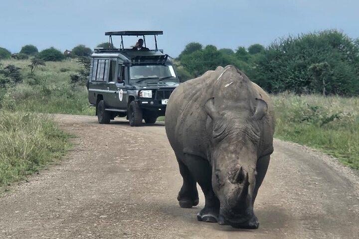 Nairobi National Park Safari–Avontuur aan de rand van de stad Gratis ophalen
