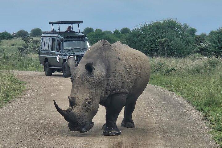 Nairobi National Park Safari–Avontuur aan de rand van de stad Gratis ophalen