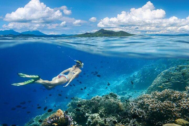 Gili Trawangan : Privat snorkling med 3 platser eller 4 platser