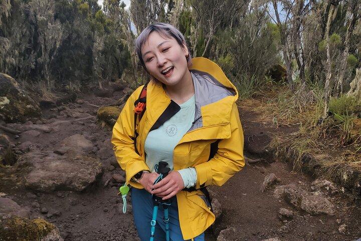 Hoteller i nærheden af Kilimanjaro Machame Route Private Hike