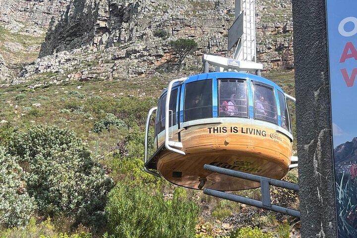 Tour por la montaña de Ciudad del Cabo con entradas y traslados al hotel